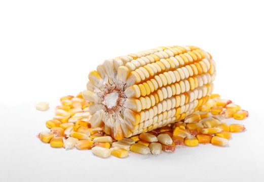 corn on cob kernels isolated on white