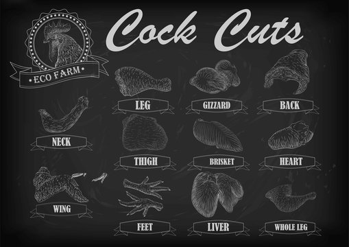 Cock cockerel rooster cutting meat scheme parts carcass brisket neck wing fillet heart leg. Vector horizontal closeup side view illustration sign info graphics white outline isolated black background