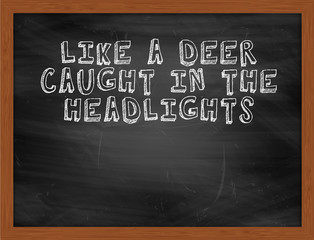 LIKE A DEER CAUGHT IN THE HEADLIGHTS handwritten text on black c