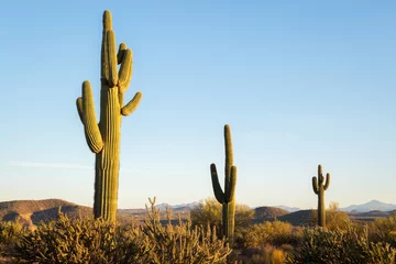 Rolgordijnen Arizona Desert Landscapes © jon manjeot