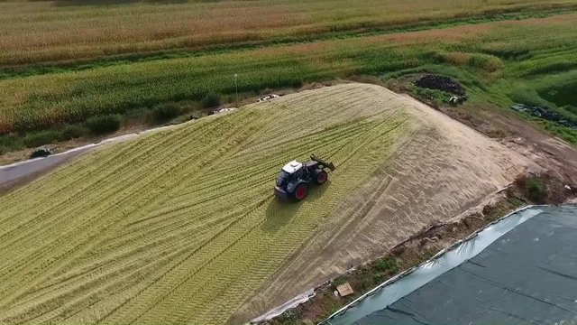 Biogas - Trecker verteilt Maissilage auf Silagehaufen, Luftaufnahme