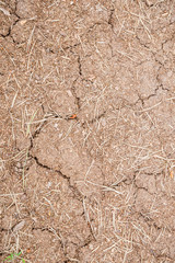Cracked dry brown soil background