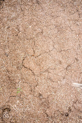 Cracked dry brown soil background