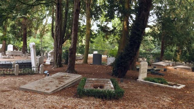 Old graves in a circle under trees