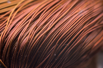 copper inductor in a transformer.