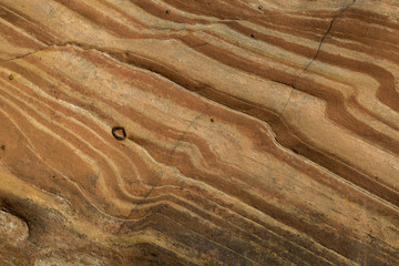 Backgrounds and Textures