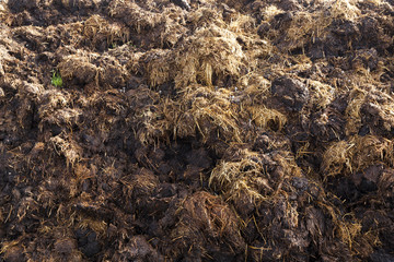 are landed in a pile of manure