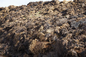 are landed in a pile of manure