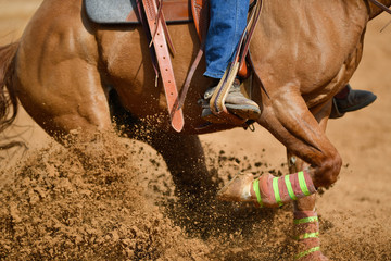 A close up view of a horse sliding in the dirt