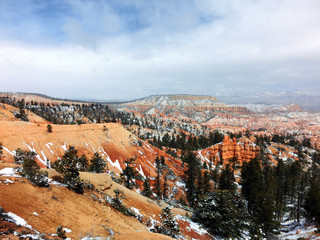 Bryce Canyon National park during winter with snow landscape