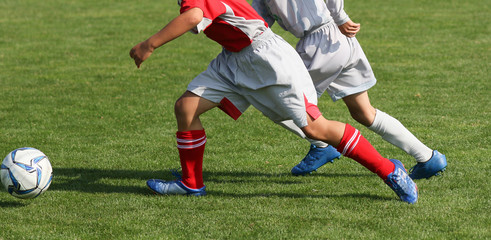 Fototapeta premium サッカー フットボール