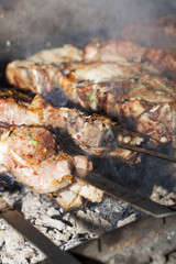 cooking kebab, close-up