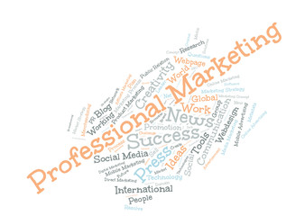 Professional Marketing word cloud