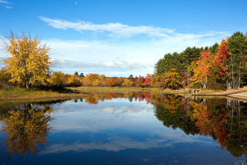 Obraz premium Autumn Leaves Lake Reflection