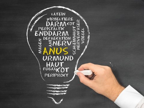 Anus