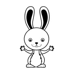 Obraz premium rabbit or bunny icon image vector illustration design 