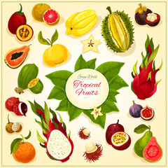 Tropical and exotic fruits vector icons