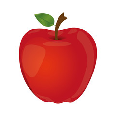 apple fruit icon image vector illustration design 