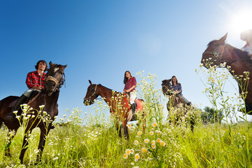 Obraz premium Happy equestrians riding bay horses in the meadow