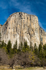 Fototapeta na wymiar El Capitan Rock Wall Against Blue Sky, Yosemite Valley, Yosemite National Park, California
