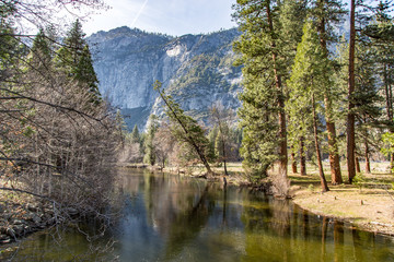 Merced River Flowing Through Yosemite Valley, Late Winter