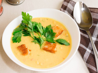 Vegetable soup puree