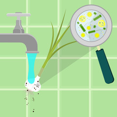 Contaminated garlic being cleaned and washed in a kitchen. Microorganisms, virus and bacteria in the vegetable enlarged by a magnifying glass. Running tap water.