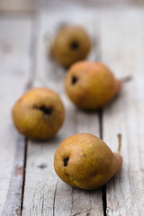 Autumn pear harvest