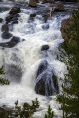 View of Firehole Falls in Yellowstone