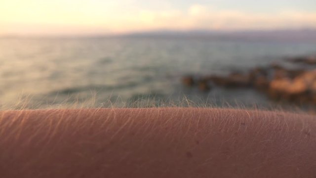 MACRO: Goosebumps on human skin on beautiful cold summer evening before sunset