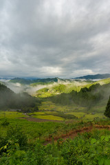 Beautiful landscape of Japanese high mountain countryside on fog
