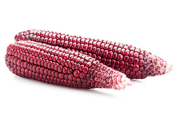 fresh red color corn isolated on white background with clipping path