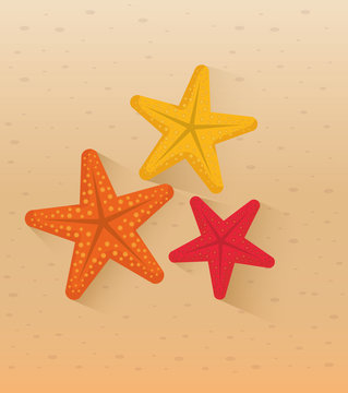 sea star beach icon vector illustration graphic design