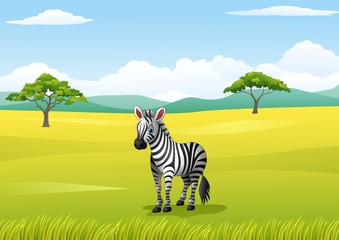 African landscape with zebra © ekyaky