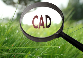 CAD (computer aided design)