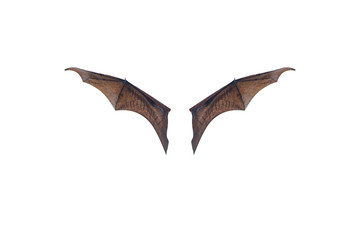 Bat wings isolated on white background
