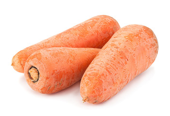 Ripe big carrot on white