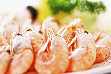 Shrimps closeup