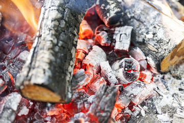 red coals in the fire