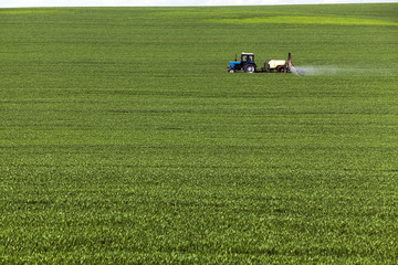 processing of cereals