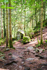 Black Forest, Germany.