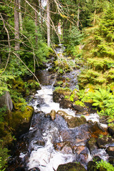 Triberg waterfall in Black forest, Germany, 
