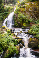 Fototapeta na wymiar Triberg waterfall in Black forest, Germany, 