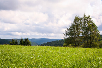 Landscape of Black Forest, Schwarzwald, Germany 

