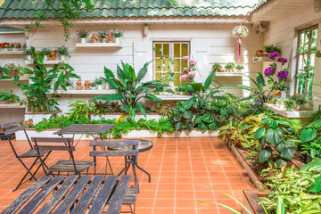 Fototapeta na wymiar beautiful garden - home exterior