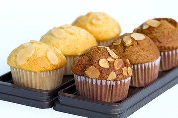Two rows of coffee and vanilla cupcakes isolated on white background