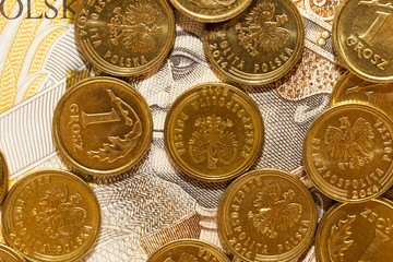 Polish Zloty, close-up