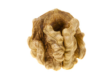 walnut isolated on white