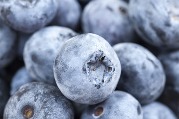 ripe berries blueberry