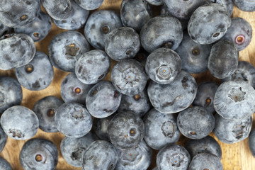 ripe berries blueberry